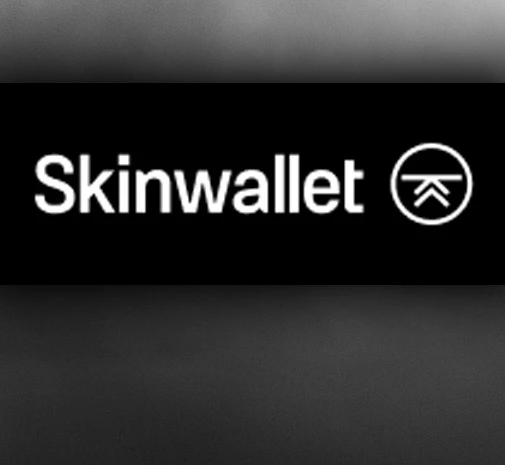 Tournament CS2 Skinwallet Cup #3